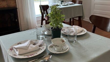 Place settings on table with green cloth and green plant.