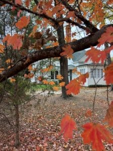 Orange leaves on branches overlaying white house. 