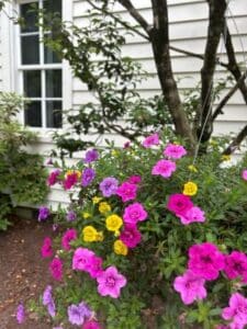 Mixed colored flowers in hanging basket in front of white walls of home.