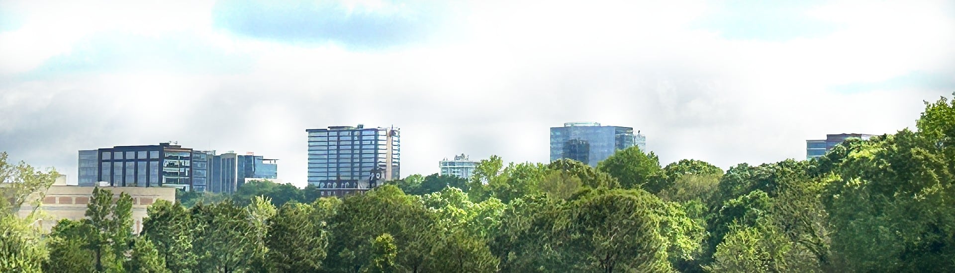 A large city skyline above a row of trees with blue skies above
